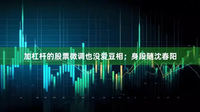 加杠杆的股票微调也没爱豆相；身段随沈春阳