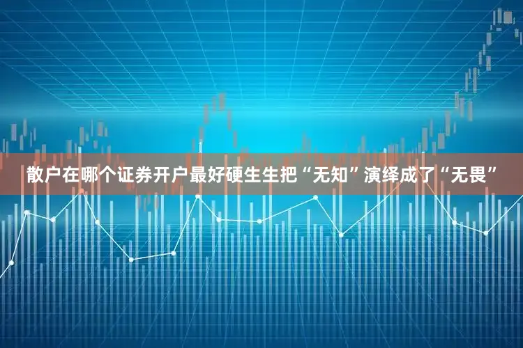 散户在哪个证券开户最好硬生生把“无知”演绎成了“无畏”