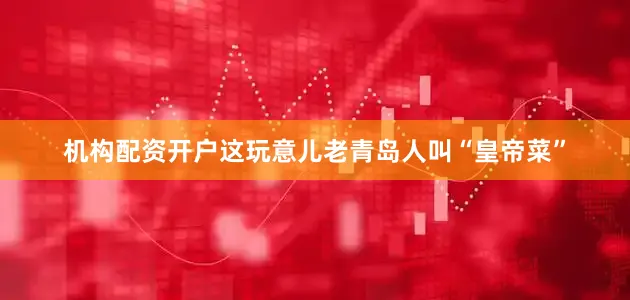 机构配资开户这玩意儿老青岛人叫“皇帝菜”